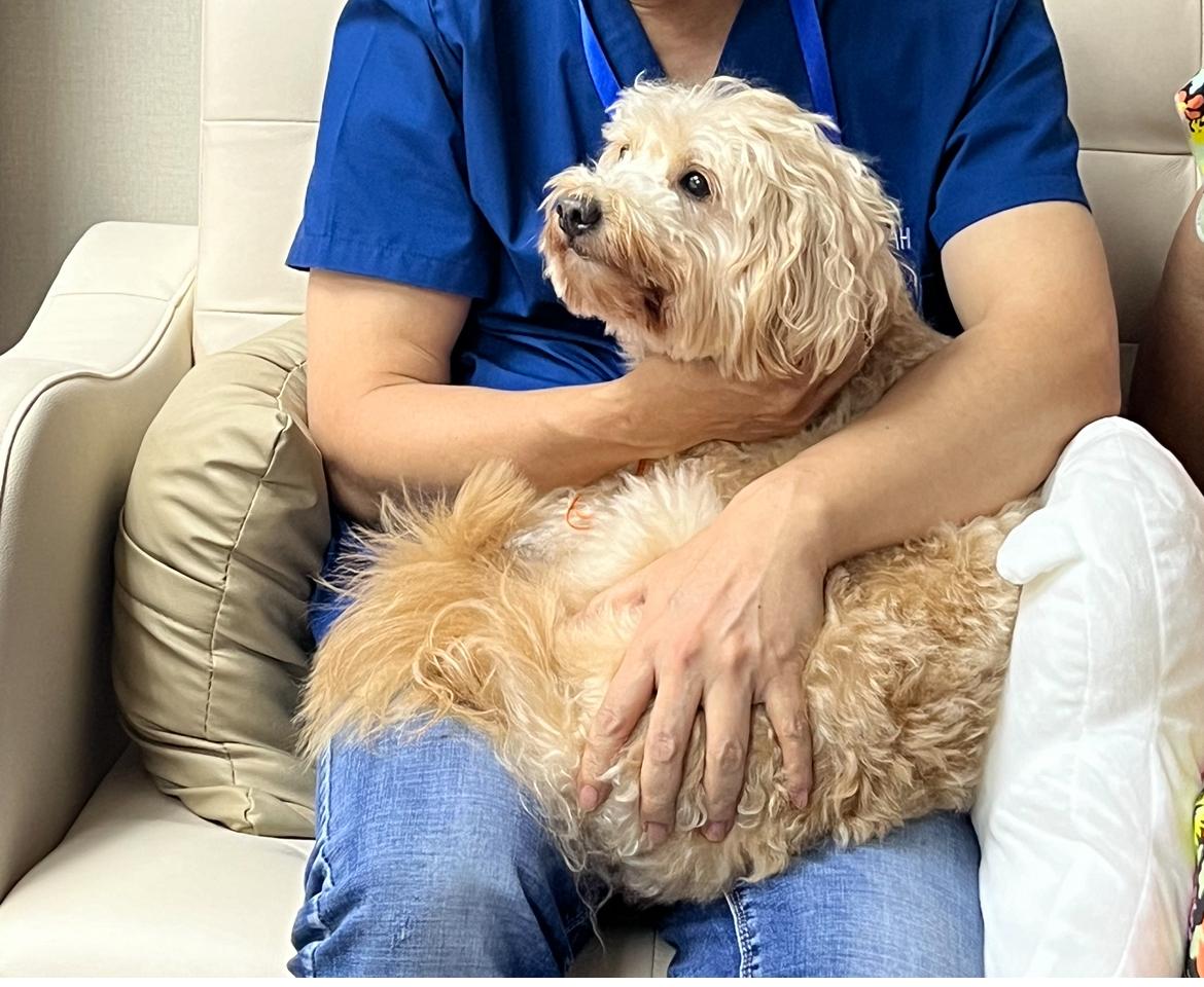 WhatsApp 圖片2024-09-1016.40